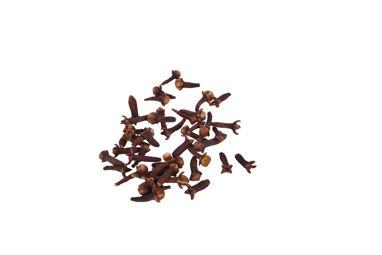 Koka Indonesian Cloves Laal Pari